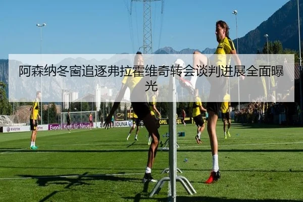 阿森纳冬窗追逐弗拉霍维奇转会谈判进展全面曝光